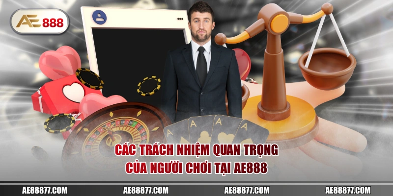 Các trách nhiệm quan trọng của người chơi tại AE888