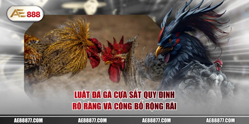 Luật đá gà cựa sắt quy định rõ ràng và công bố rộng rãi